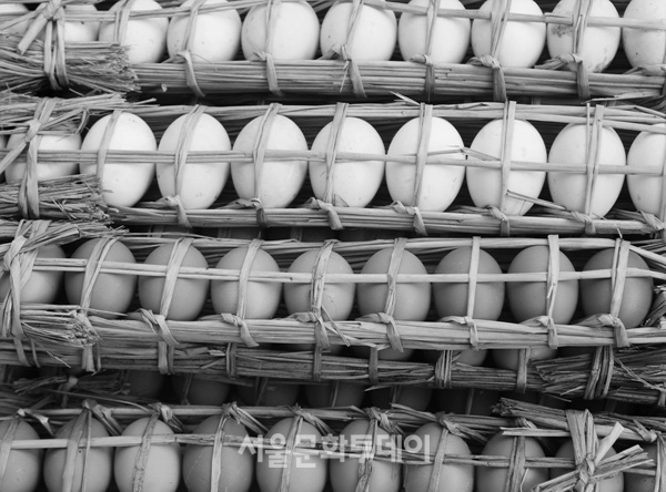 시골농가에서 기른 계란